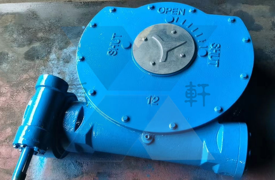 QDX3-S12双级驱动青青草免费观看视频通过检验发往连云港某石化厂(图1)
