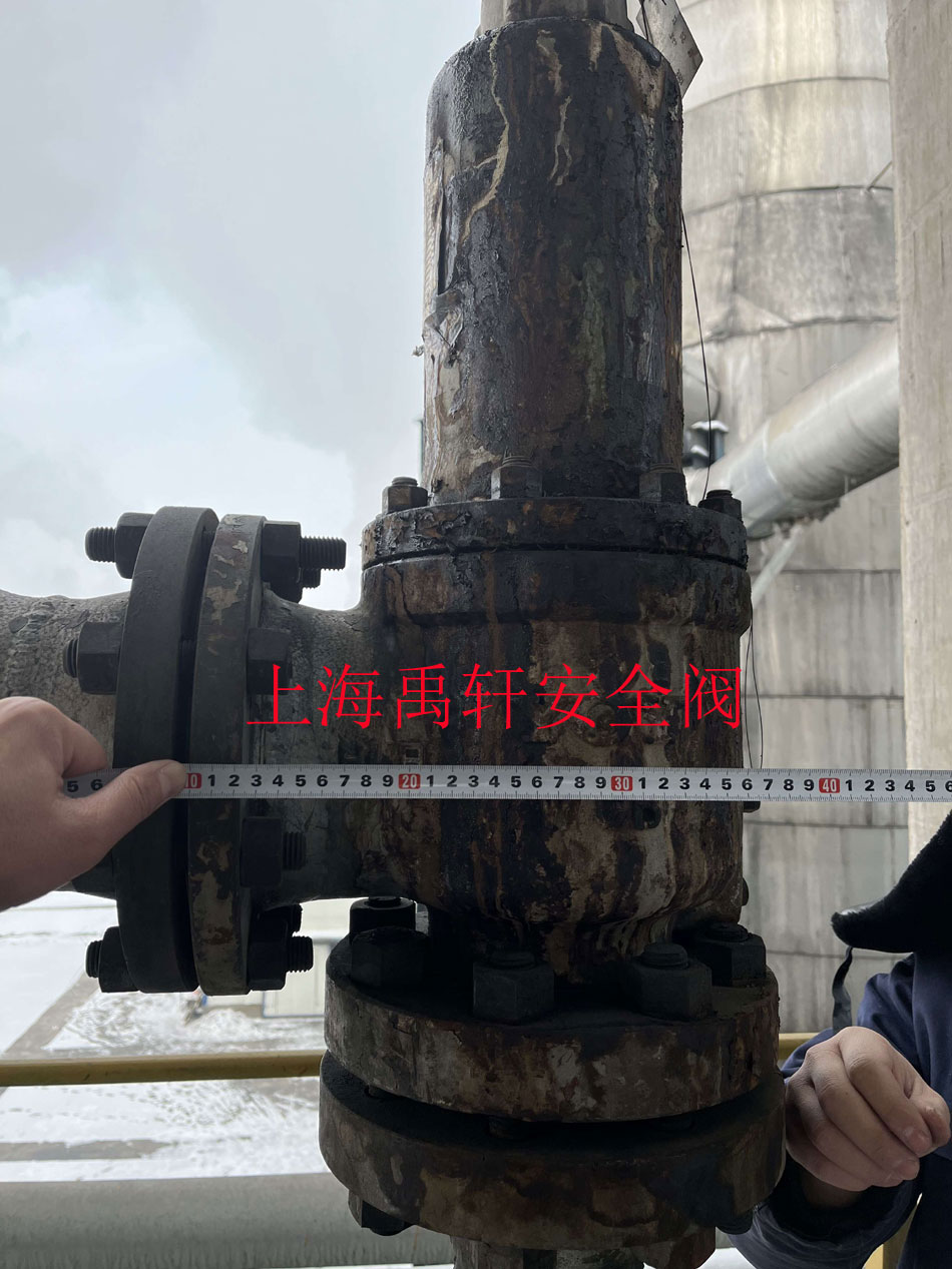 新疆国泰新华化工公司订购两台高压安全阀(图1) 新疆国泰新华化工公司订购两台高压安全阀(图1)